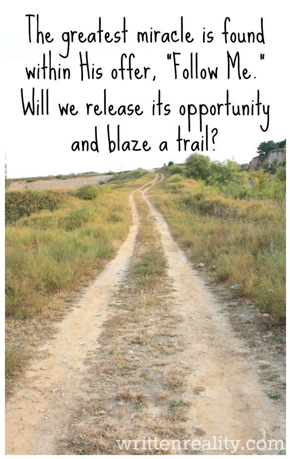 Blaze A Trail