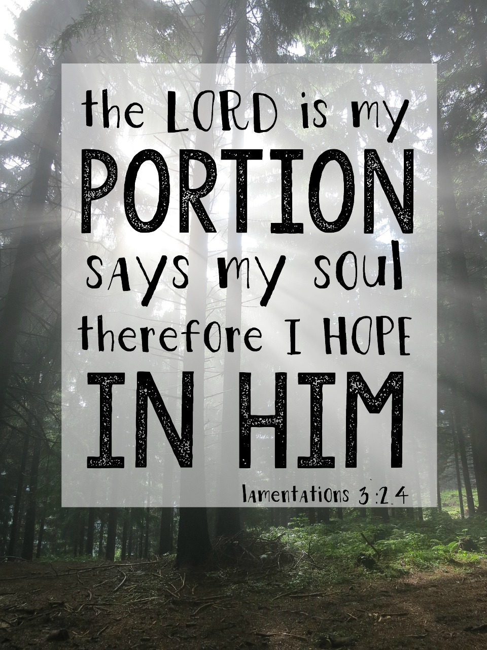 the Lord is my portion