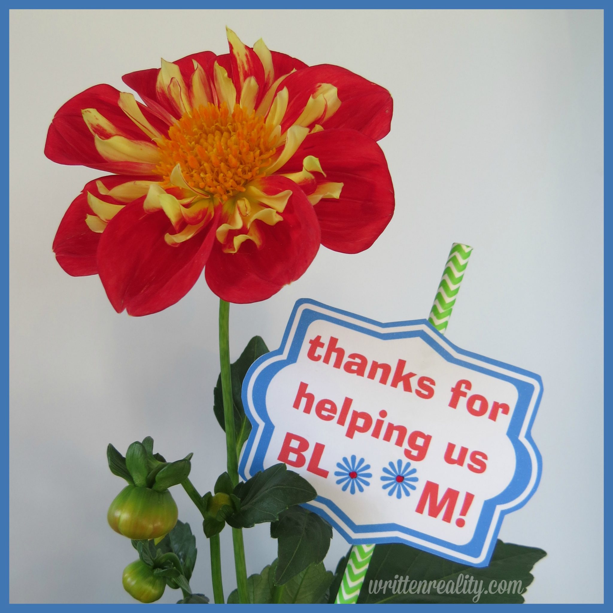 teacher-thanks-bloom