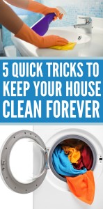keep house clean