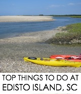 things to do in Edisto