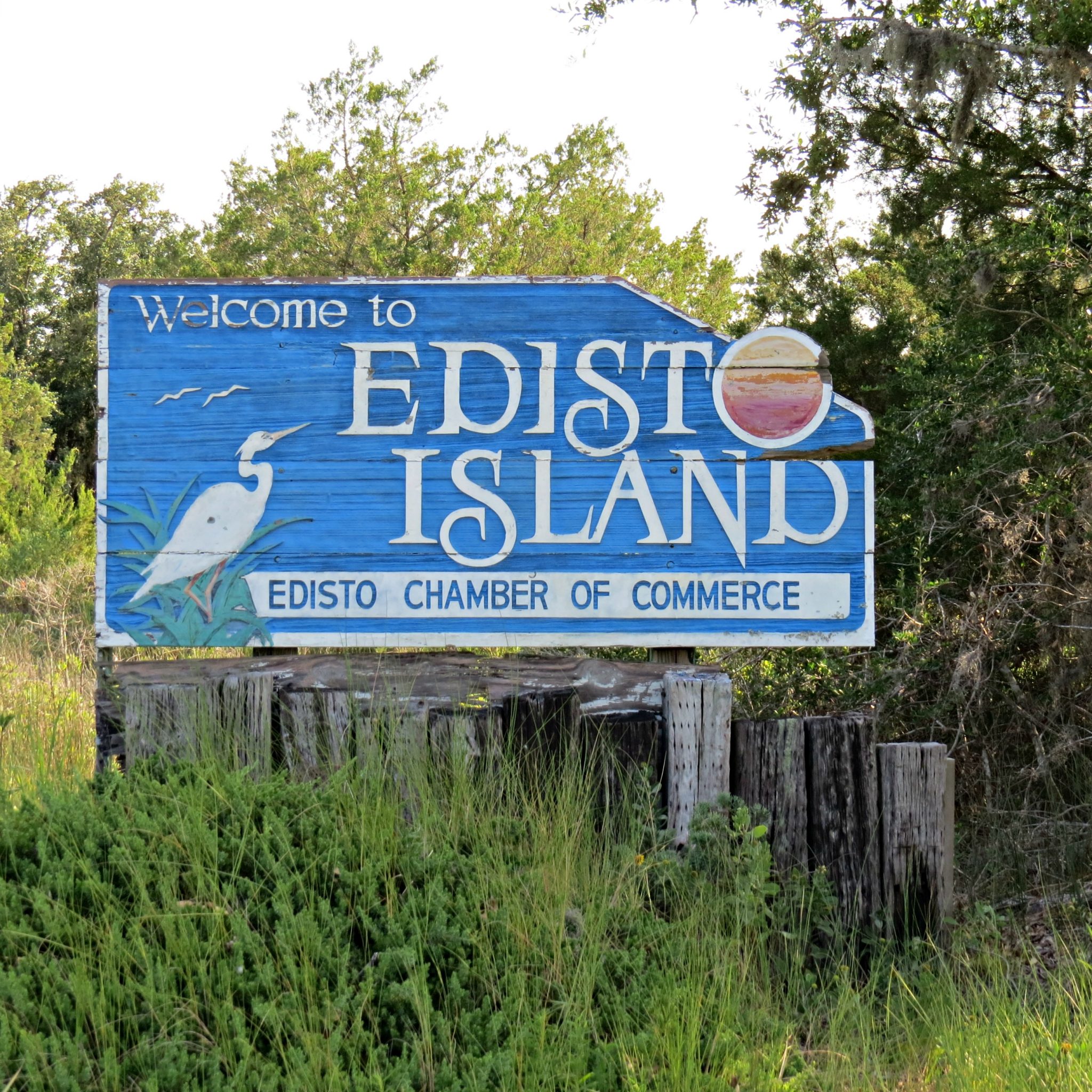 Things To Do In Edisto - Written Reality