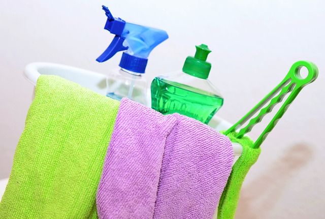 daily house cleaning checklist