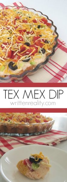 Tex Mex Dip Recipe - Written Reality