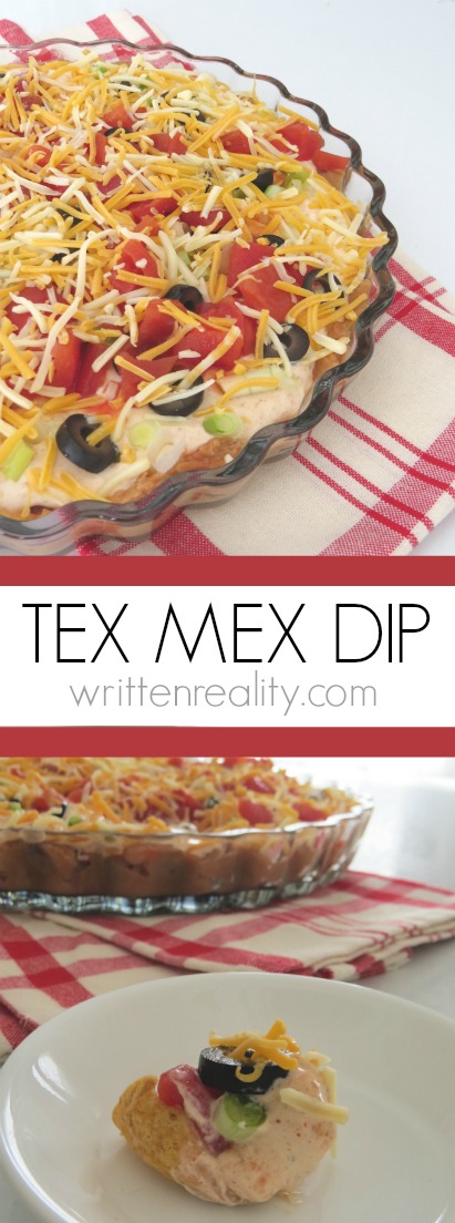 Tex Mex Dip Recipe that's easy and delicious!